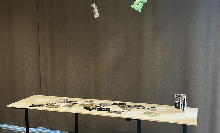 MÜLL – Warum entsteht Littering und welche Folgen hat es?